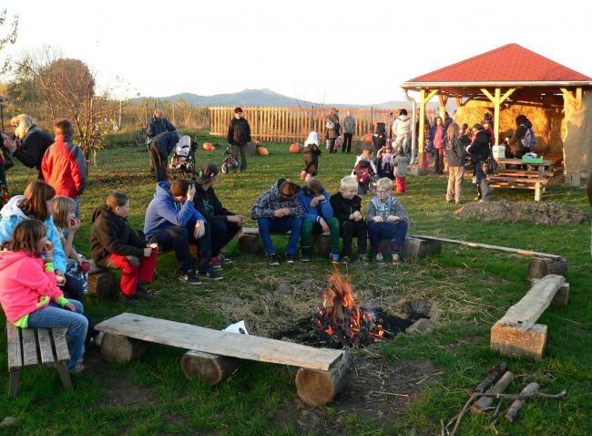 P1390403.jpg