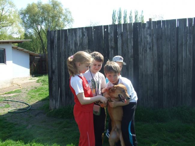 DSCF4679.jpg