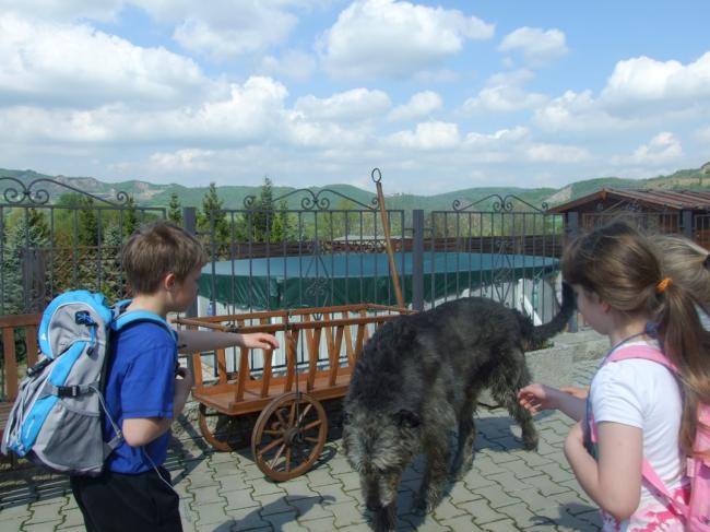 DSCF4683.jpg