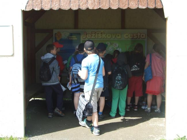 DSCF4790.JPG