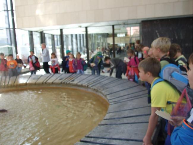 DSCF5081.JPG