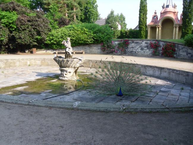 2-6-2015 001.jpg