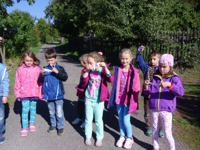 ř-2015 017.jpg