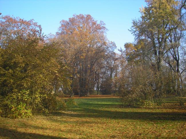 park.JPG