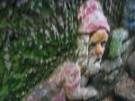 DSCN1180.jpg