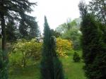 DSCN1239.jpg