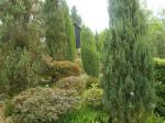 DSCN1238.jpg