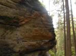 DSCN1108.jpg