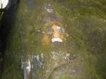 DSCN1177.jpg