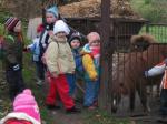ZOO st, jen 2007 018.jpg