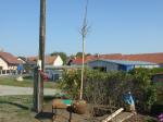 DSCF8580.JPG