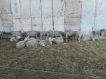 DSCN2180.JPG