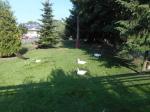 DSCN2201.JPG