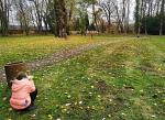 IMG_20191115_134149.jpg