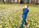 IMG_20191115_134050.jpg