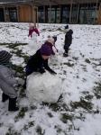 IMG-20210119-WA0011.jpg