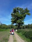 IMG-20210602-WA0002.jpg