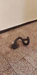 IMG-20210722-WA0012.jpg