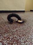 IMG-20210722-WA0005.jpg
