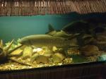 IMG_20210727_112707.jpg