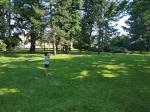 IMG_20210726_102010.jpg