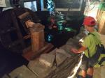 IMG_20210727_112449.jpg