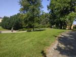 IMG_20210726_103253.jpg