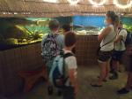 IMG_20210727_112400.jpg