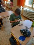 IMG_20210726_114100.jpg