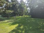 IMG_20210726_101550.jpg