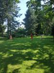 IMG_20210726_103620.jpg