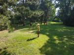 IMG_20210726_103035.jpg