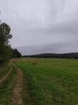 IMG-20210927-WA0008.jpg