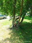 IMG-20220801-WA0049.jpg
