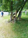 IMG-20220801-WA0087.jpg