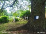 IMG-20220801-WA0058.jpg