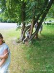IMG-20220801-WA0074.jpg
