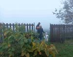IMG_20221031_161417.jpg