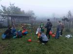 IMG_20221031_162430.jpg
