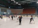 IMG_20221115_121752.jpg