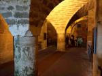 IMG_20230621_102759.jpg