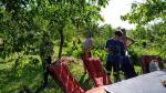 IMG-20230629-WA0038.jpg