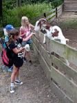 IMG-20230719-WA0149.jpg