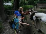 IMG-20230719-WA0110.jpg