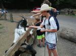 IMG-20230719-WA0102.jpg
