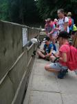 IMG-20230719-WA0104.jpg