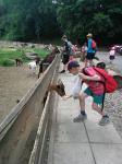 IMG-20230719-WA0112.jpg