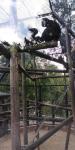 IMG-20230720-WA0011.jpg
