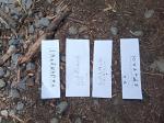 IMG-20230721-WA0013.jpg