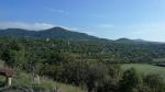 IMG-20230915-WA0030.jpg